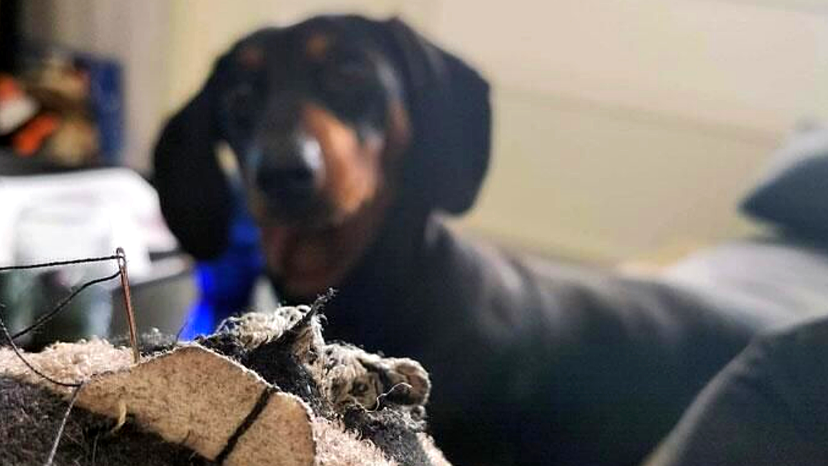 Ну скоро ты?