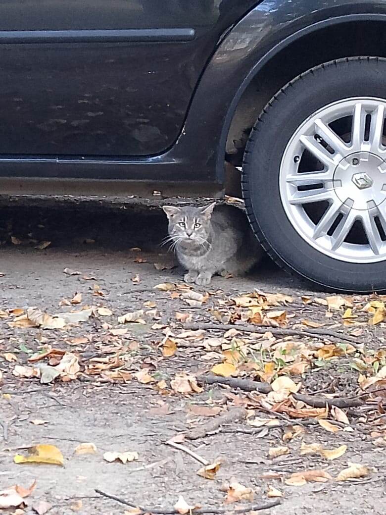 Фото автора