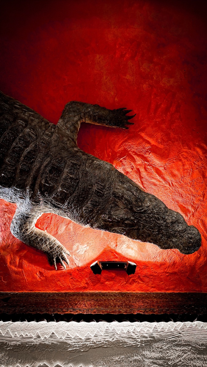 Фото: GORK | Гео: Самара, RU