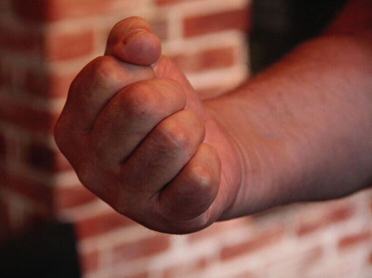     Фото: «МК в Ленобласти».