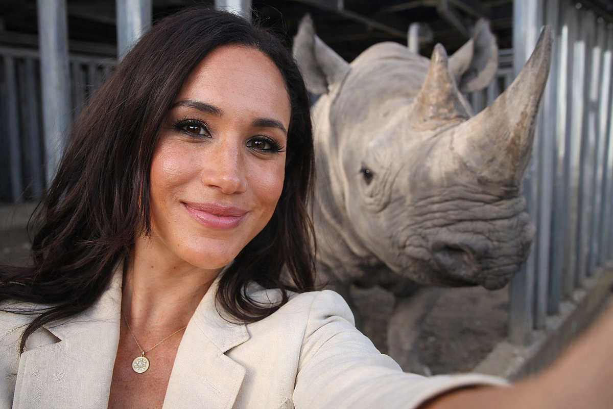 Меган Маркл публикует трогательные видео, на которых Лилибет и Арчи плещутся в бассейне и кормят животных в зоопарке. Зачем?