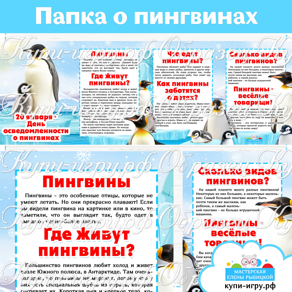 Папка-передвижка "День осведомленности о пингвинах"