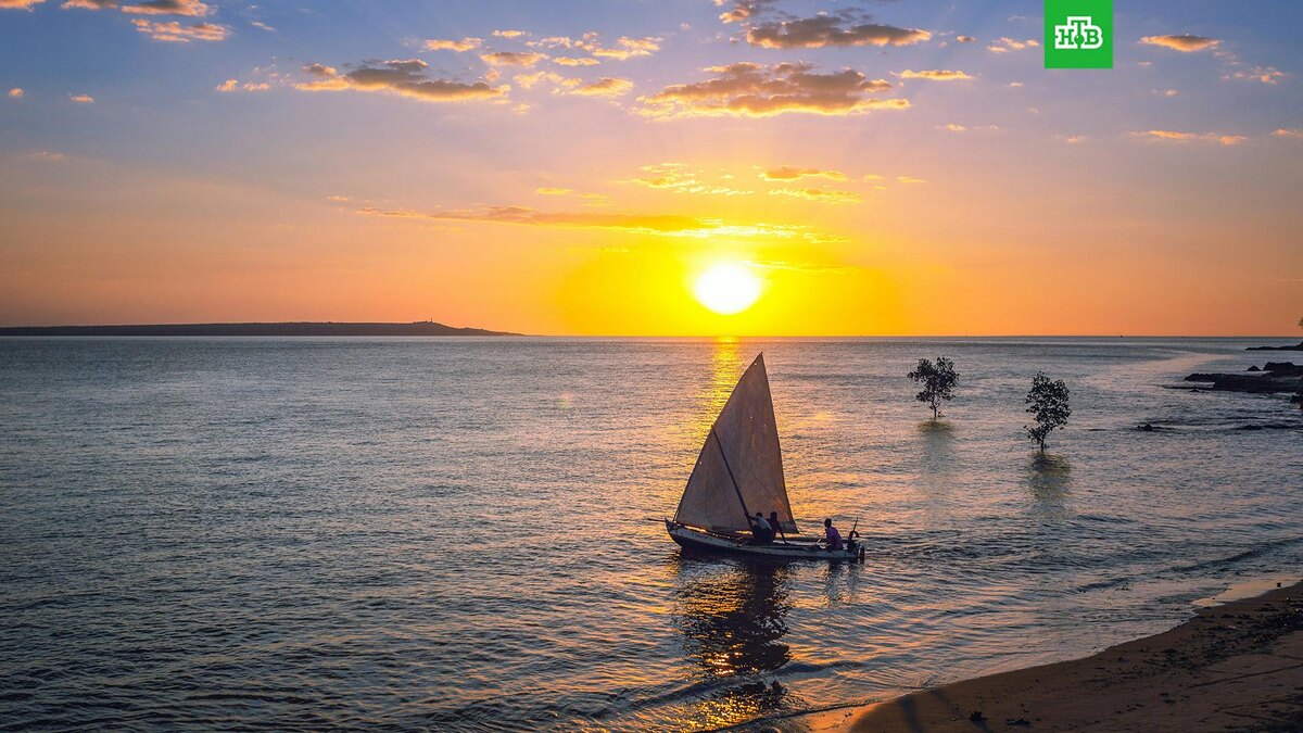    Фото: karimjy LOULOUA / unsplash.com