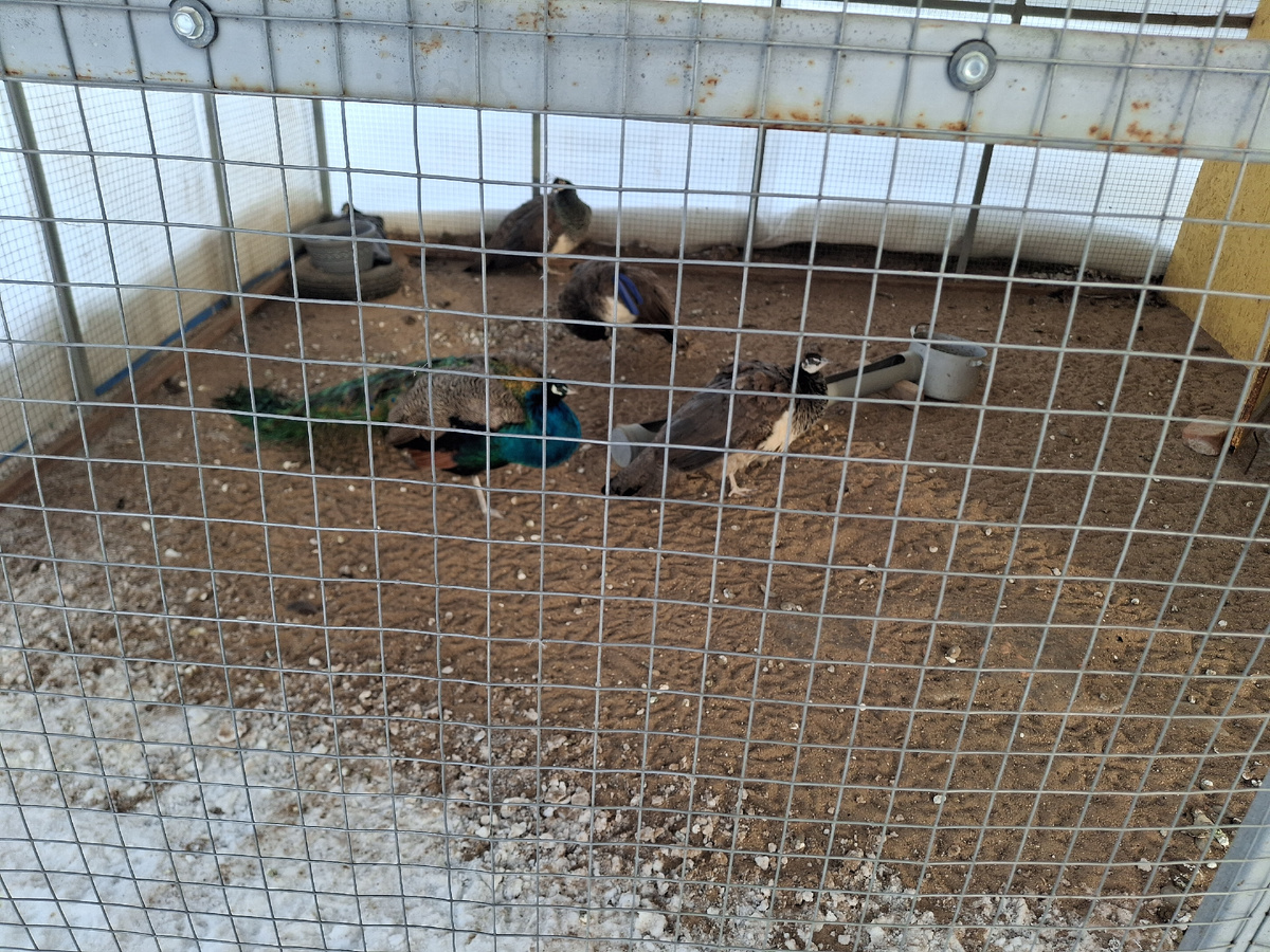 Фото автора канала