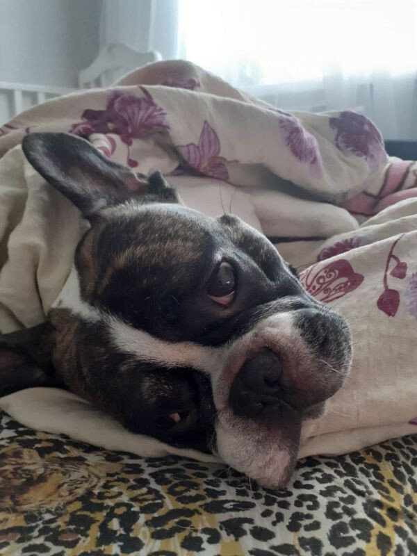    Фото: читательница «МОЁ!»