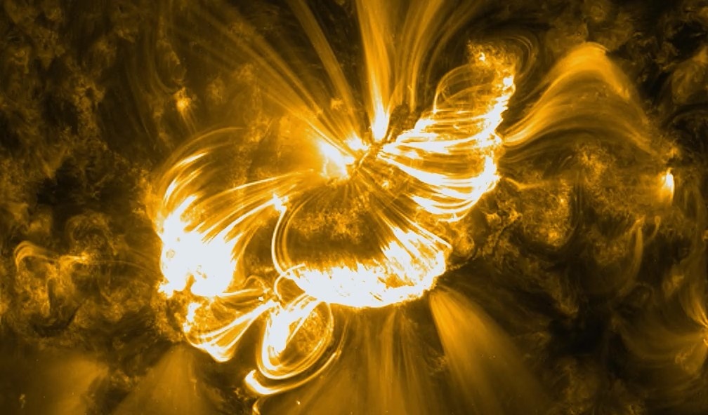    Фото: t.me/lpixras