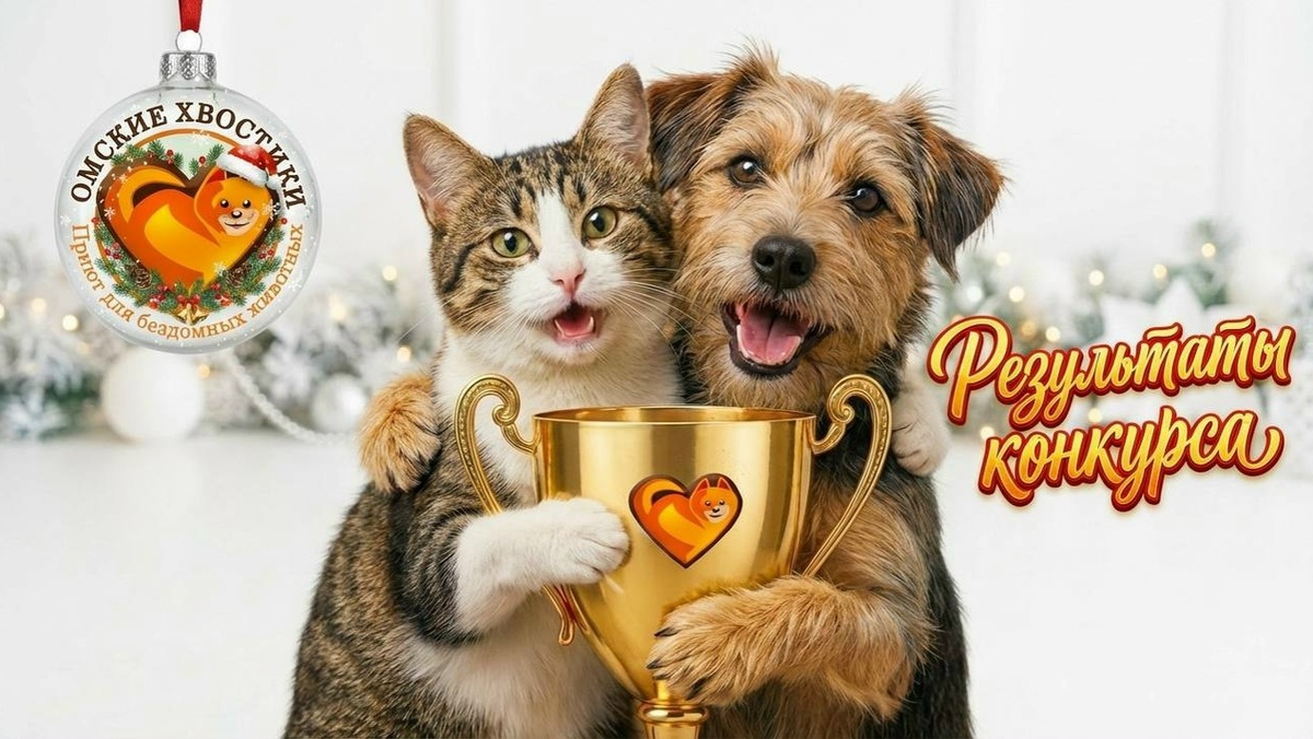 Объявляем имена тех, чьи истории и фото тронули ваши сердца больше всего!