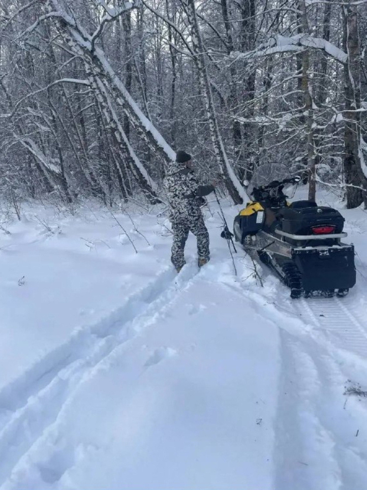     Фото: министерство СХ, природы и экологии Тульской области
