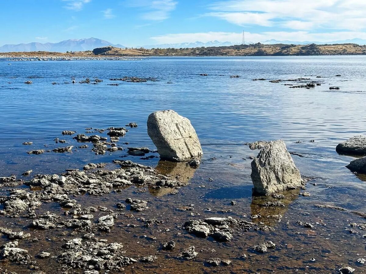 © Photo : avara the wanderer