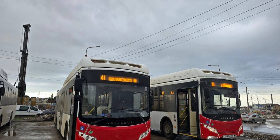 Севастопольские власти расторгнут договор с перевозчиком в Байдарской долине