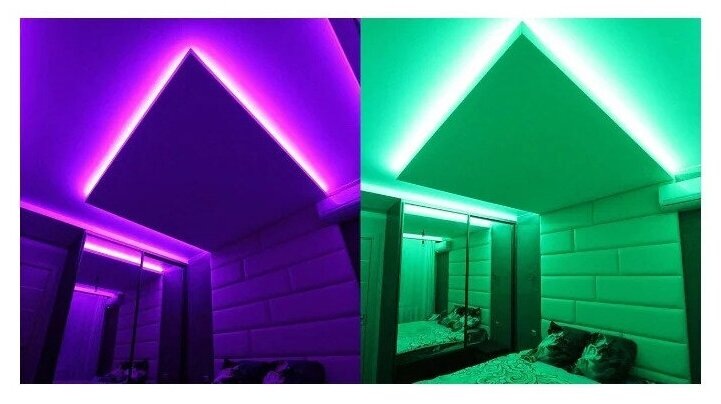 Какое освещение лучше: Неон, Светодиод, Лампы