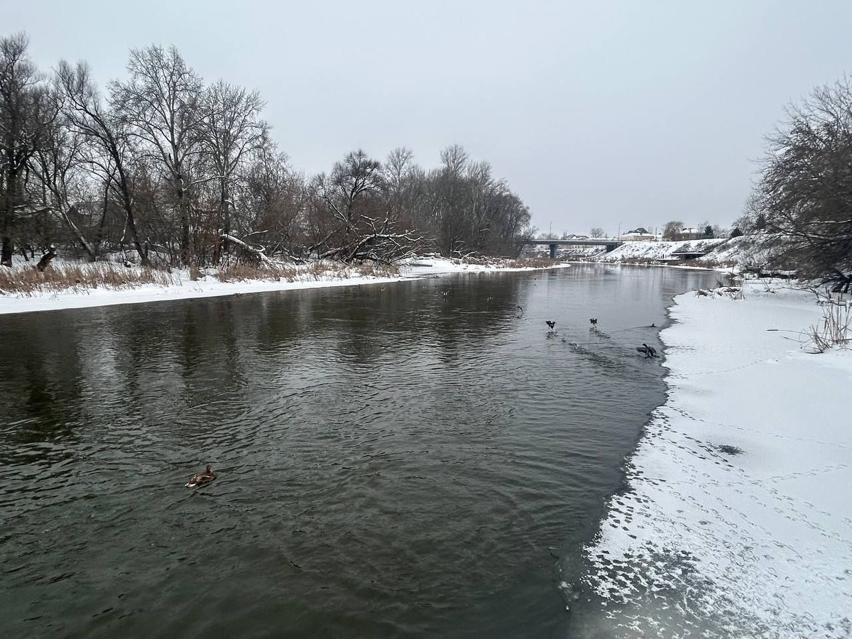 город Моршанск, река Цна