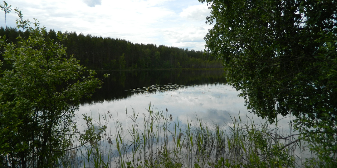 Карелия. Кожпромское озеро