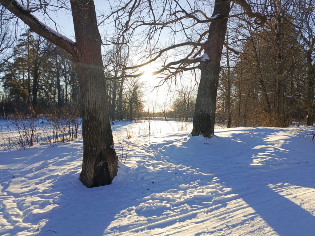    Алена Федорова