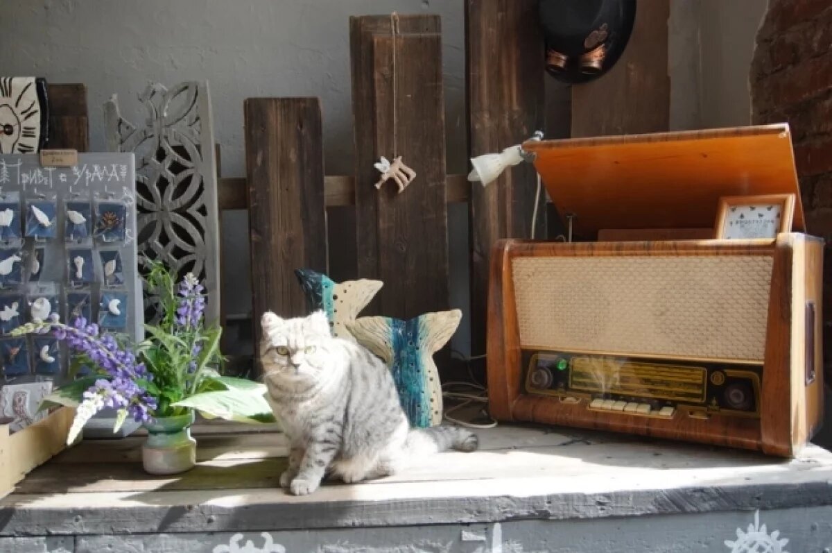    Сила огня и воды.