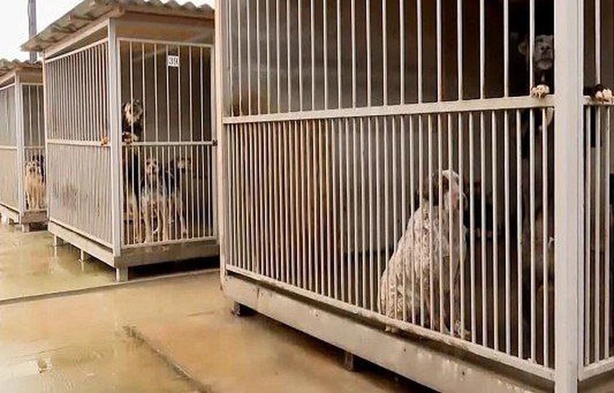    Фото пресс-службы администрации Сочи