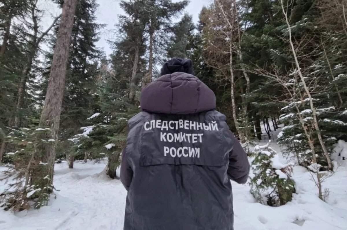    В парке Нарткалы срубили 100 деревьев и построили незаконный автосервис