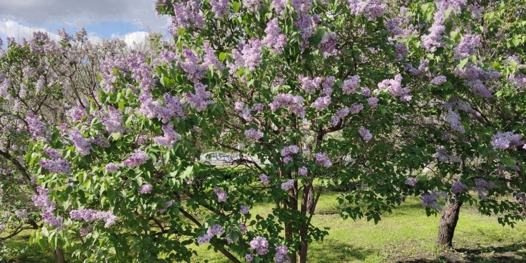 Жителей Башкирии этой весной ожидает аномальная погода