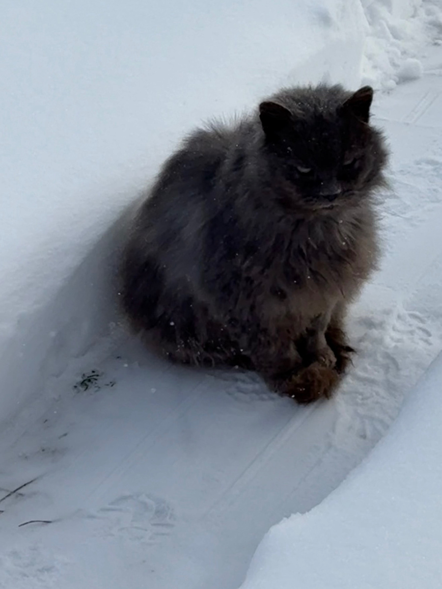 Да, понял я, понял!