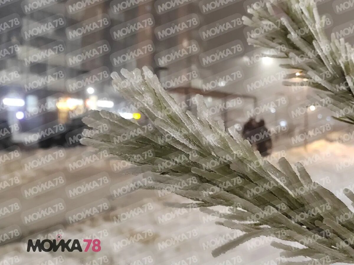    Фото: читатель Мойки78