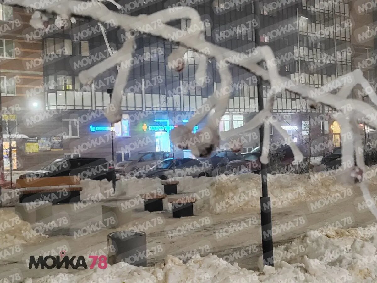    Фото: читатель Мойки78