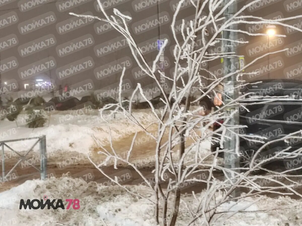    Фото: читатель Мойки78