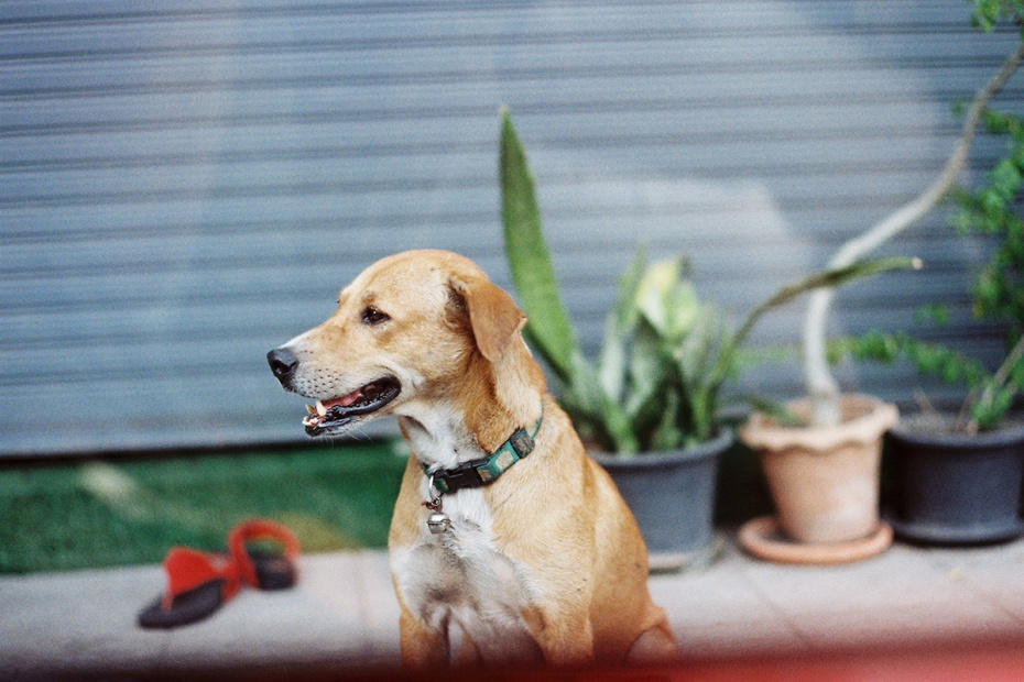    Shutterstock/FOTODOM