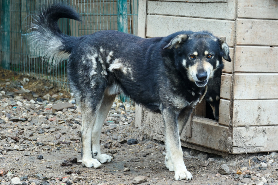    Сергей Петров/NEWS.ru