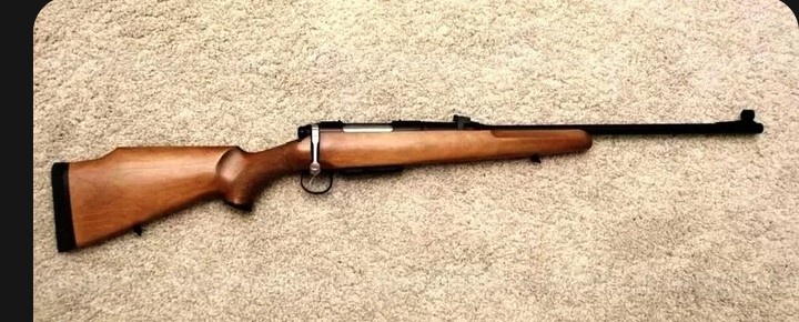 Фото из интернета Лось‑1