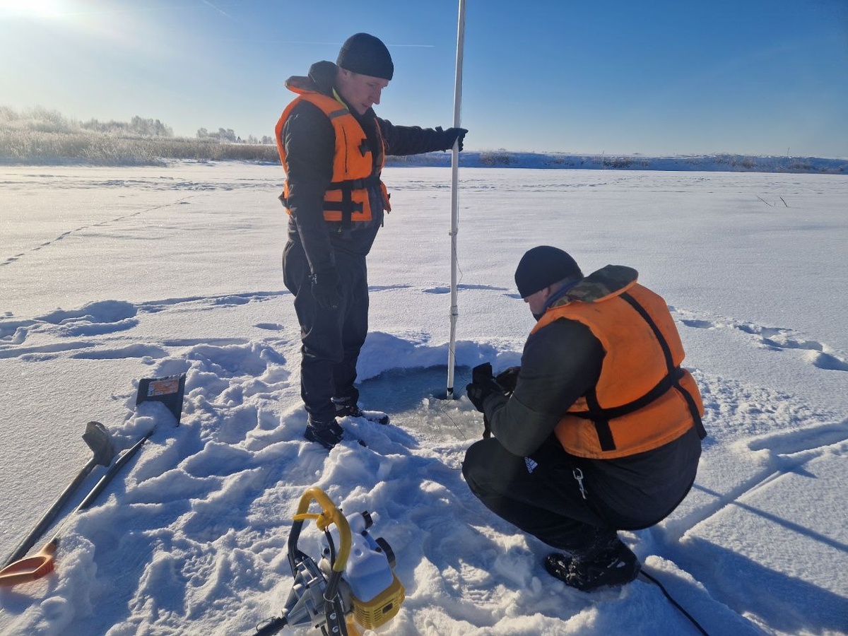    Фото: https://vk.com/divers.dobrotvorec