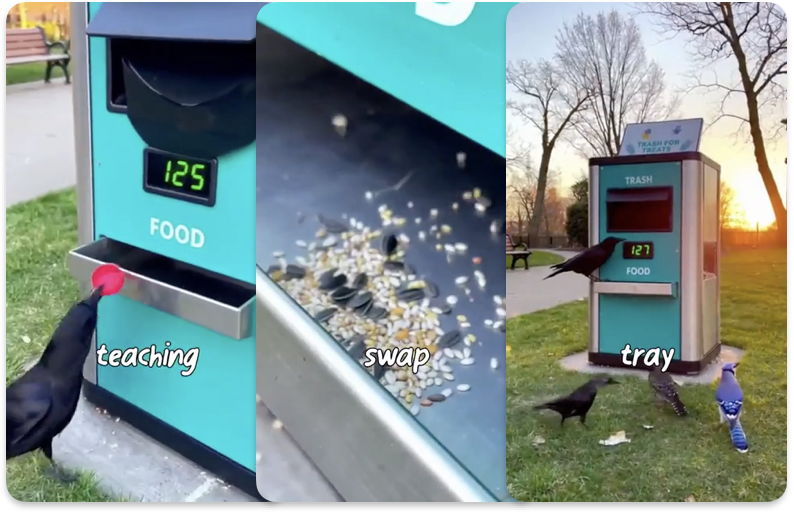 Источник: postmastern / Reddit https://bit.ly/45MVLj2