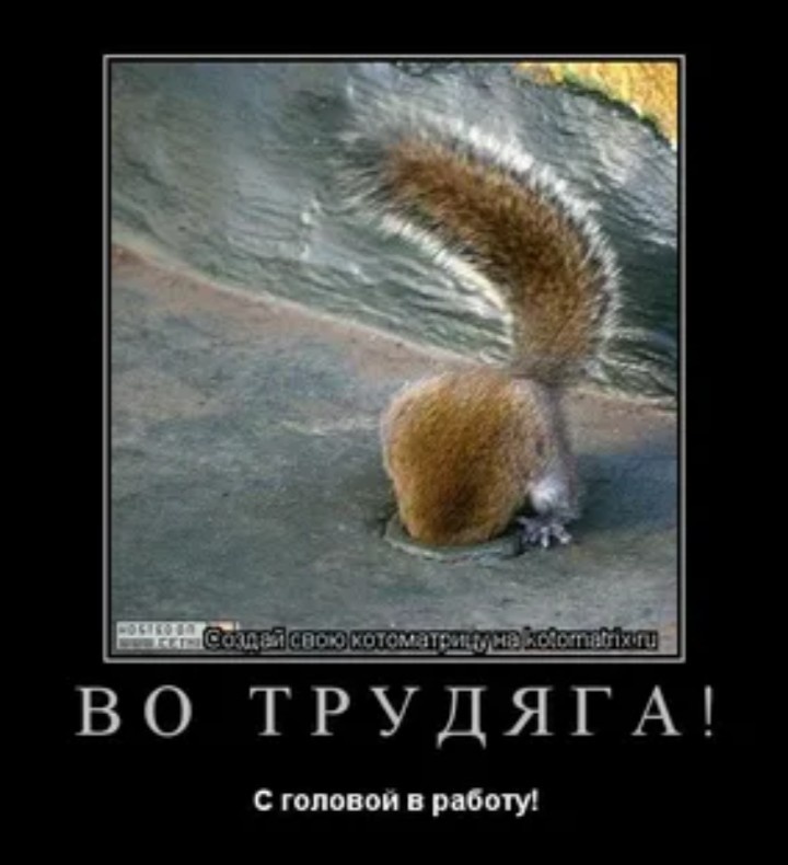 Картинка из интернета 