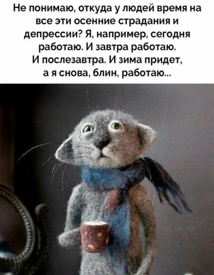 Картинка из интернета 