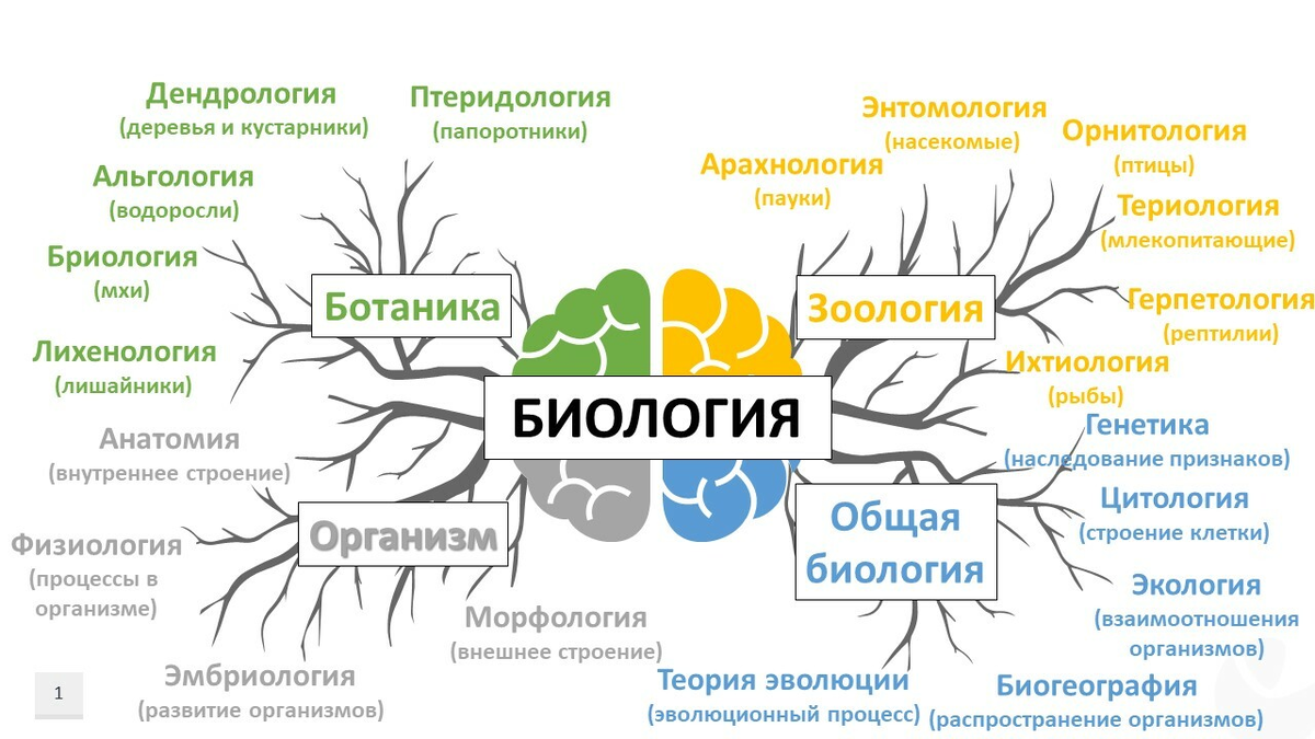 https://school-uspeh.ru/bio5-m1t1-biology