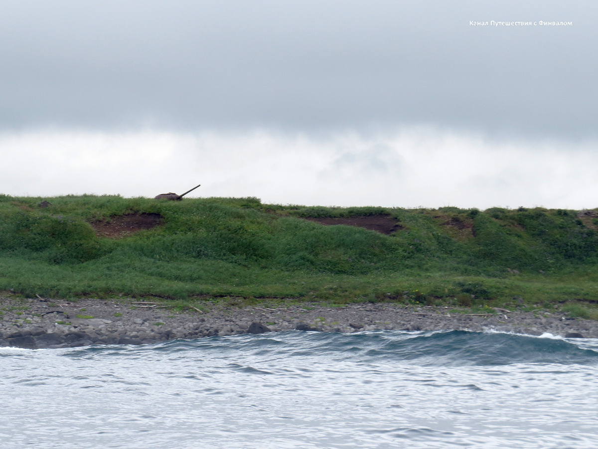 Мыс Буоевестник