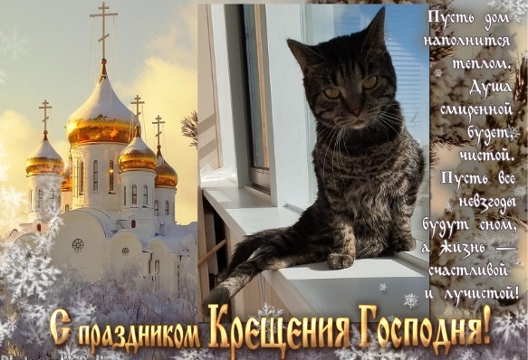 Спинальница Куся поздравляет всех с Крещением! И надеется на Чудо найти свой дом или хотя бы бюджетную передержку!🙏🏡