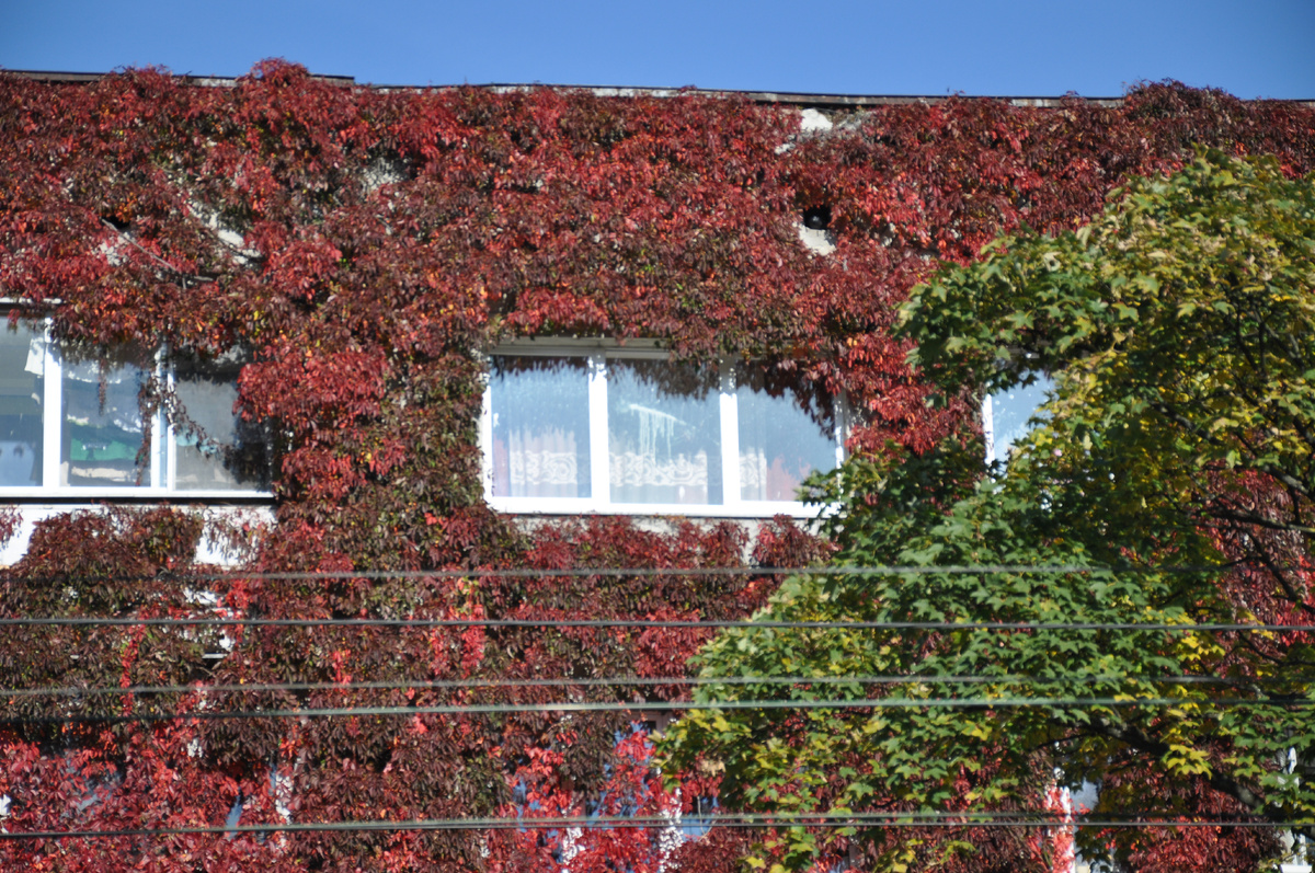 Дом 122 на проспекте Мира. 10 октября 2018 года.