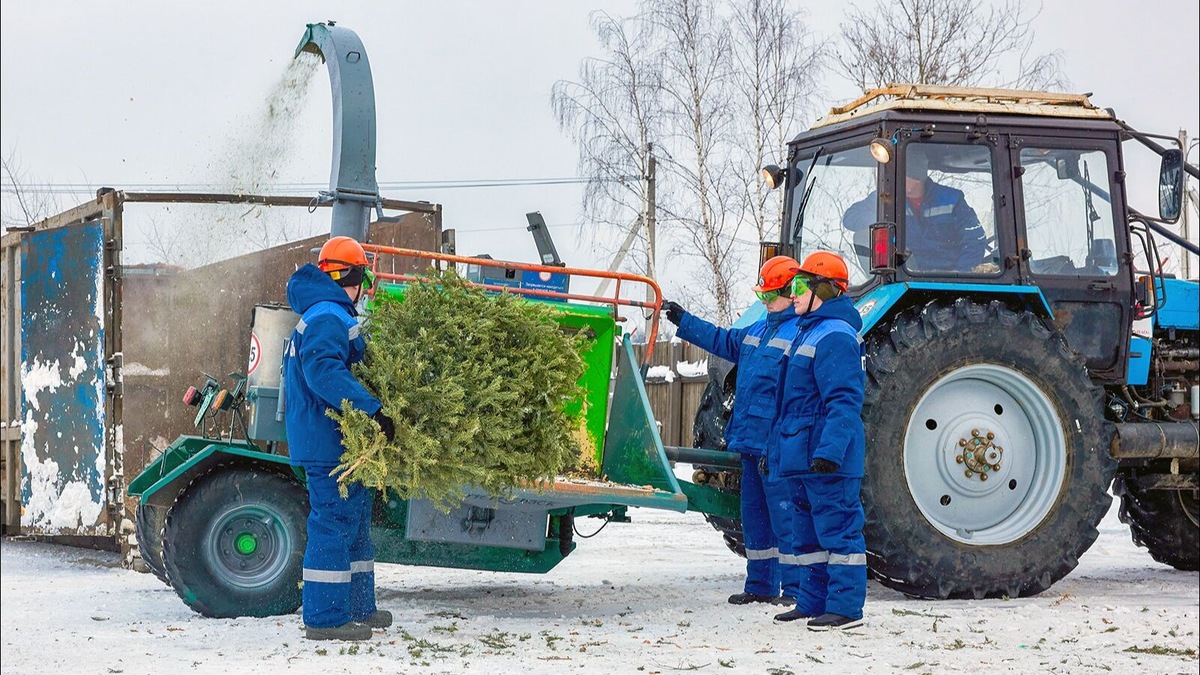    Источник: Максим Денисов. Mos.ru