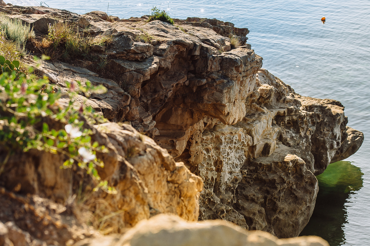 Скажите "сыыыр"!