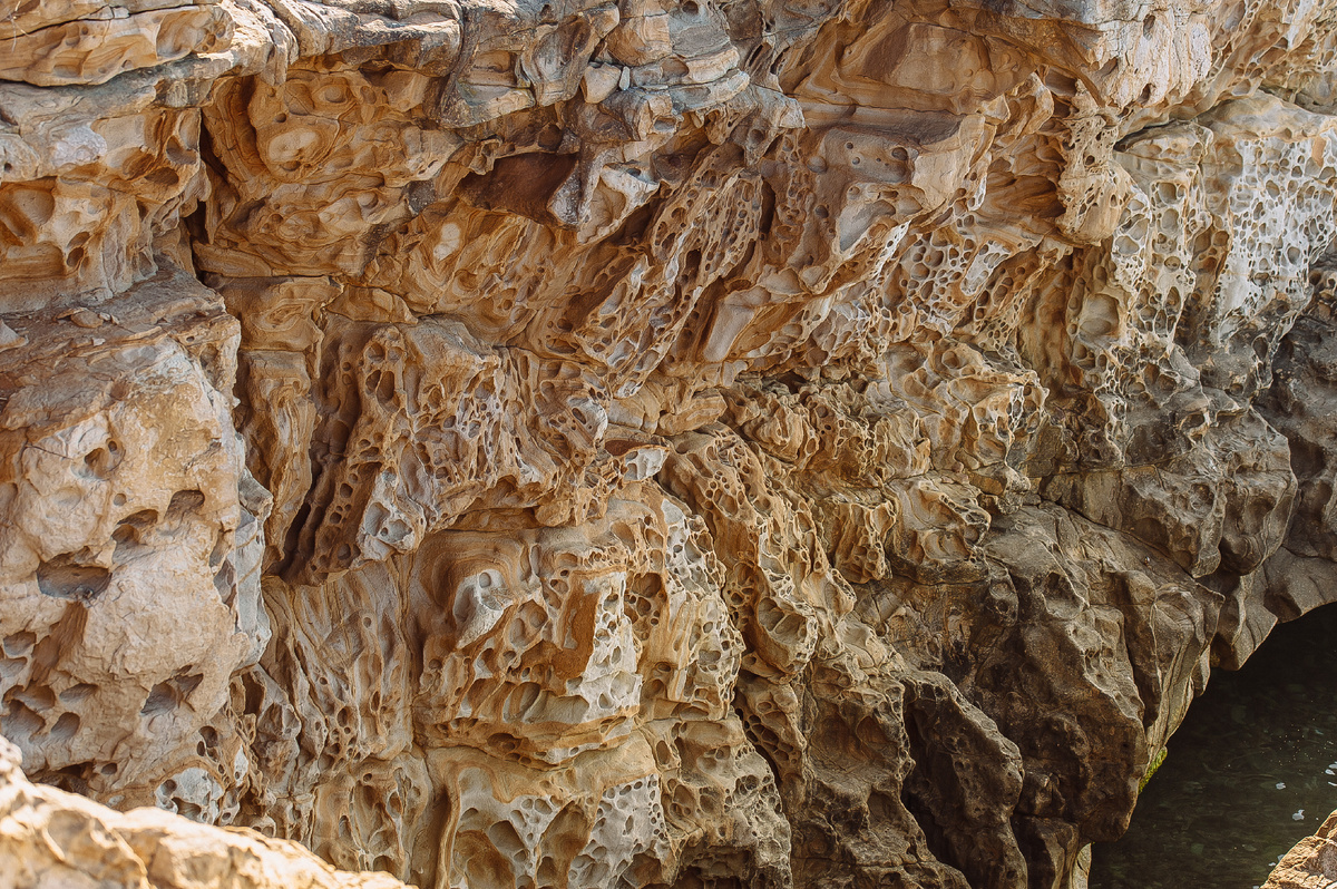 Сотни "глаз" и все на Вас!