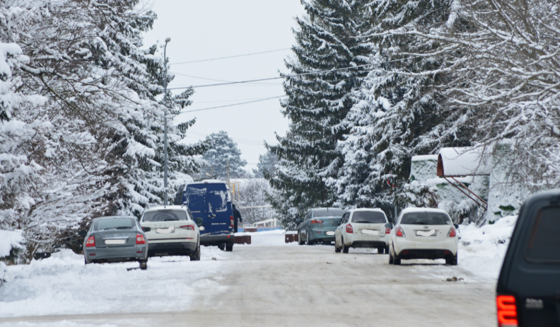 Фото автора. 13.01.2026. Станица. 