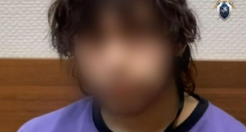    Официальный телеграм-канал ГСУ СК России по Московской области