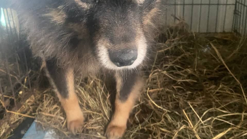 Морозы -45°С... Выжить бы...🙈