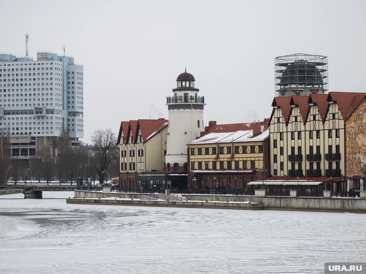     Губернатор обратился на литовском языке, чтобы до экс-замглавы МИД Литвы «быстрее дошло»