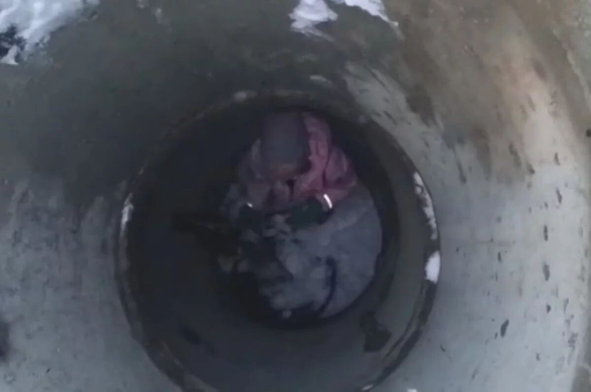     / Источник: © Кадр из видео