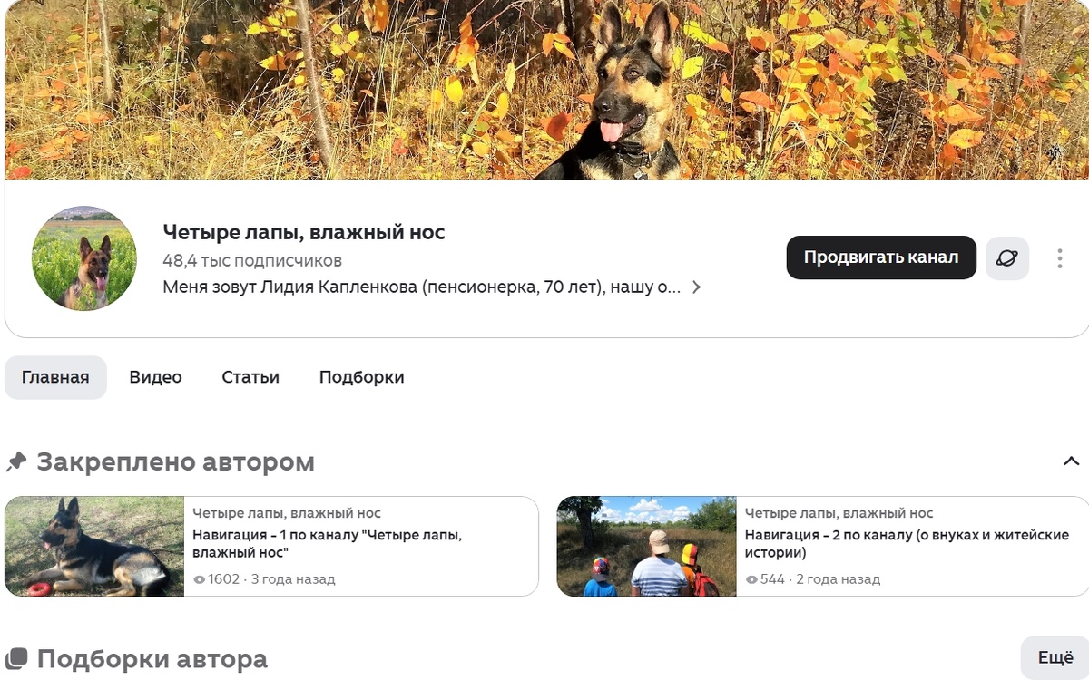 Скрин автора