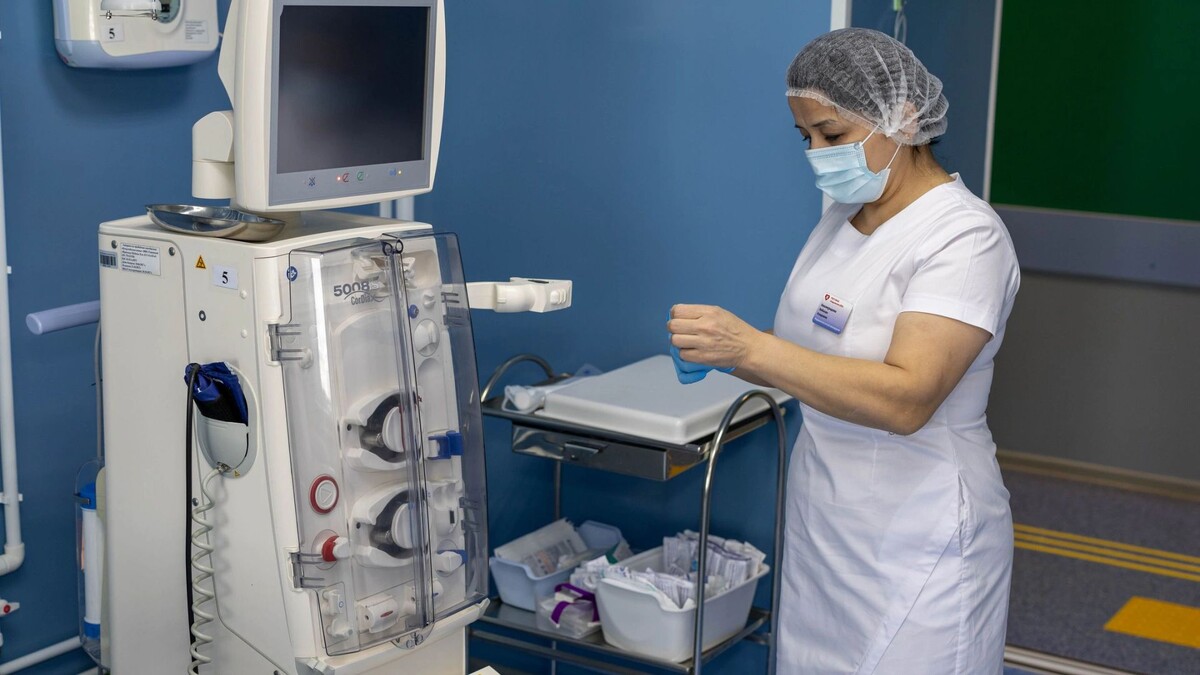    Фото: Александр Чирва / «Ямал-Медиа»