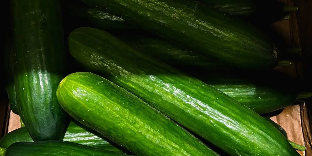 Огурцы в России подешевеют к весне