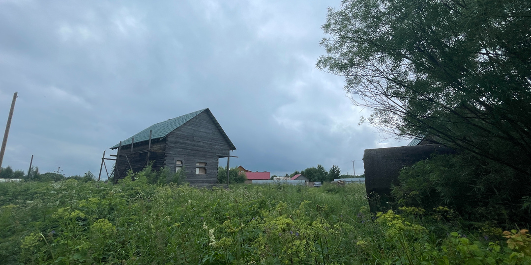 Борьба с травой на участке. Жаль нет обычной деревенской косы....