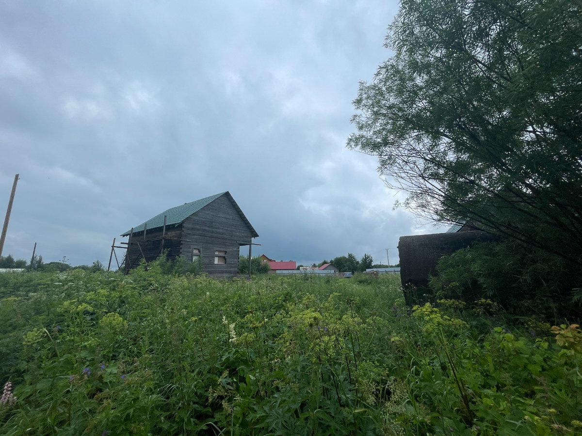 Дачные джунгли